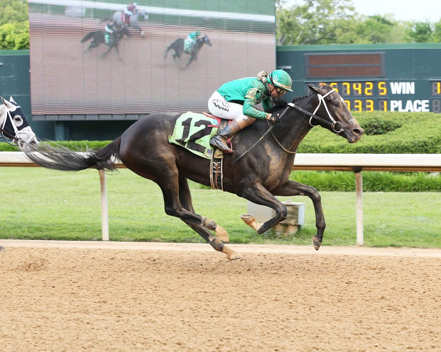 Ever So Clever — Dark brown filly by Medaglia d’Oro out of Foxy Danseur