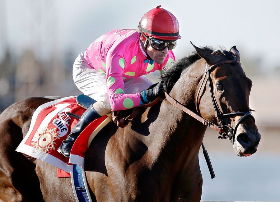 Firing Line — Bay colt by Line of David out of Sister Girl Blues