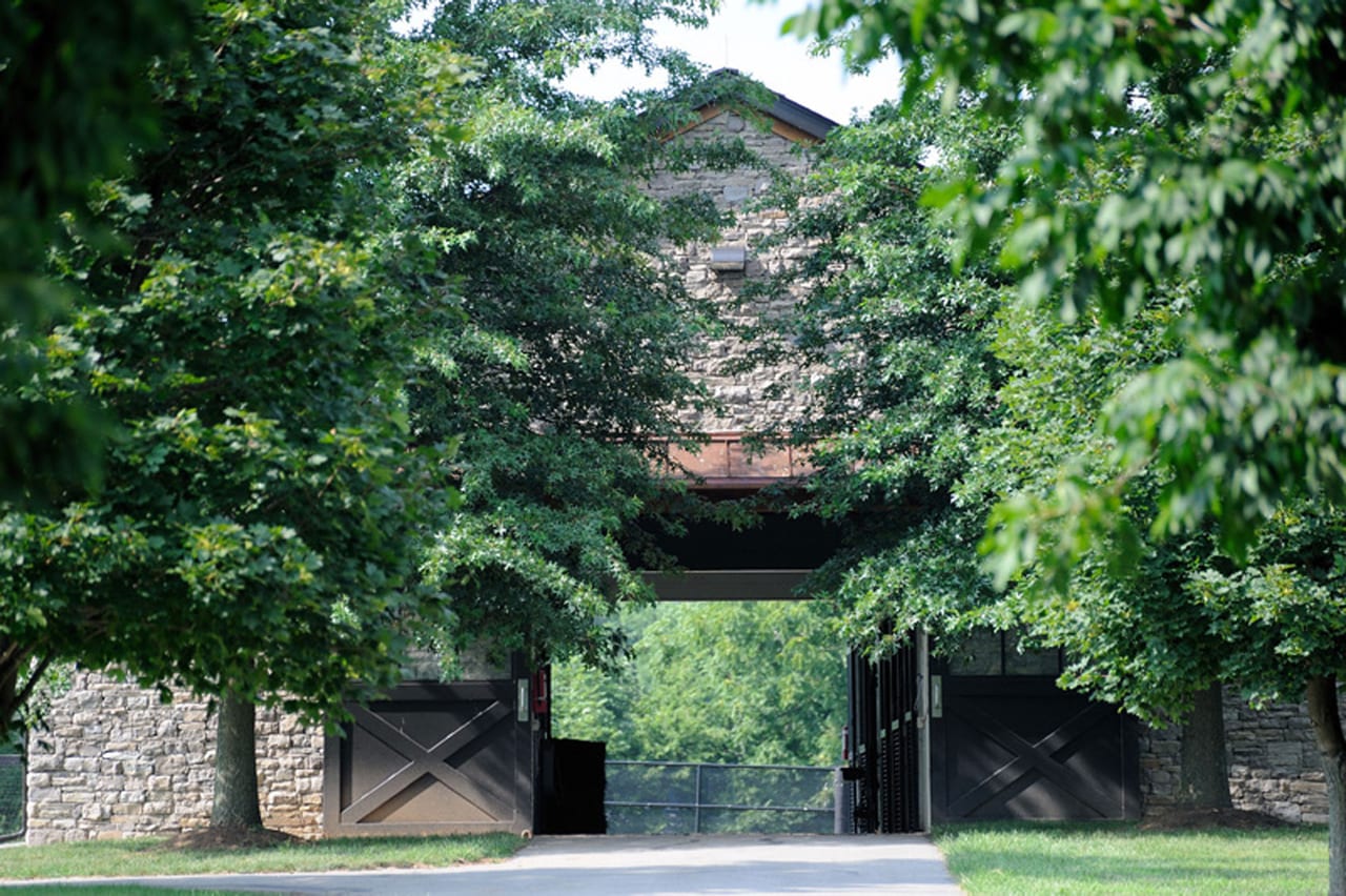 Stone-and-timber barn arch over the farm drive, framed by summer trees